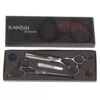 Iceman Duo Set Left 5.5 Scissor And Thinning Scissor - Offset -Hairdressing Products 171752 39792