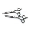 Kamisori Diablo II Professional Haircutting Shears Set