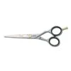 Jaguar Pre Style Relax Scissor 1 Jaguar Pre Style Relax Scissor -Hairdressing Products Jaguar Pre Style Relax 5.5 Scissor 1024x10242x 20849